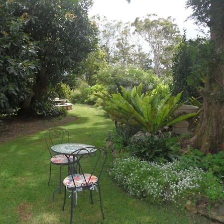 Moonya Avocado Farm Cottage - With Early Check-In Mount Tamborine Exterior foto
