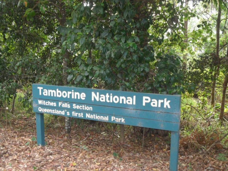 Moonya Avocado Farm Cottage - With Early Check-In Mount Tamborine Exterior foto